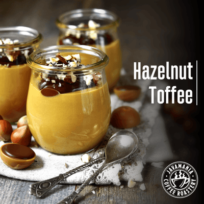 Hazelnut Toffee - JavaMania Pro