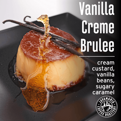 Vanilla Creme Brulee - JavaMania Pro